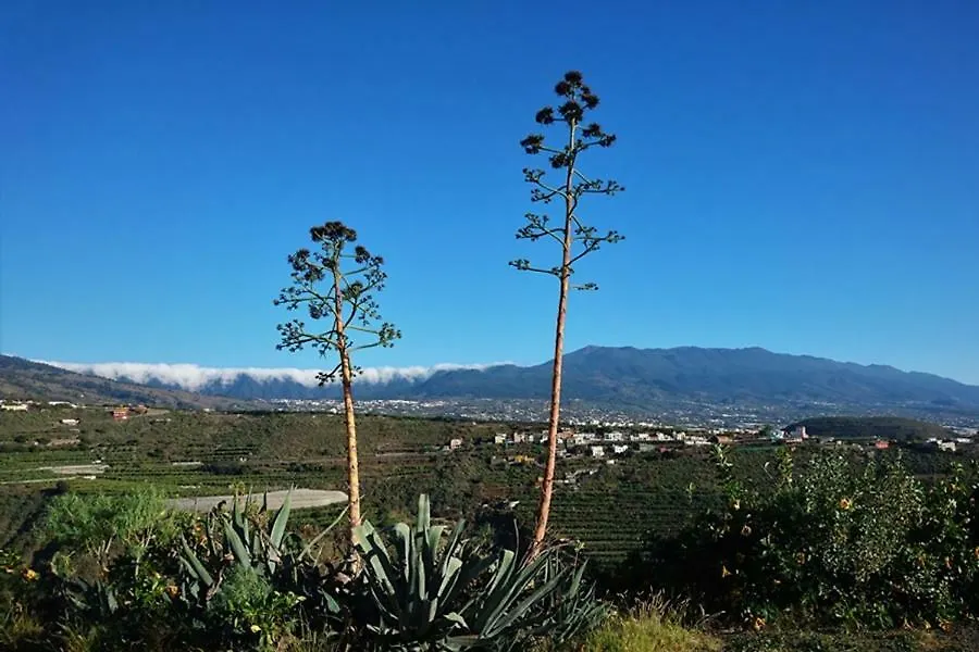 Villa Casa Vista Caldera Tijarafe Сasa de vacaciones